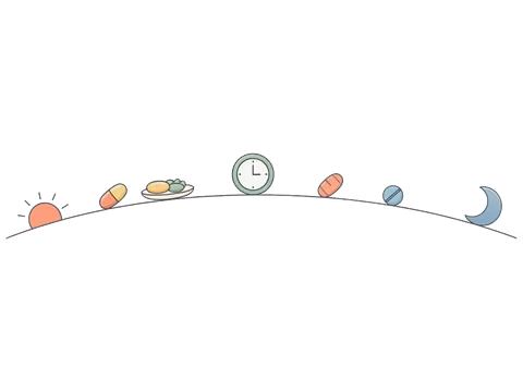 Tavita daily supplement schedule timed around wake, meal, and sleep times